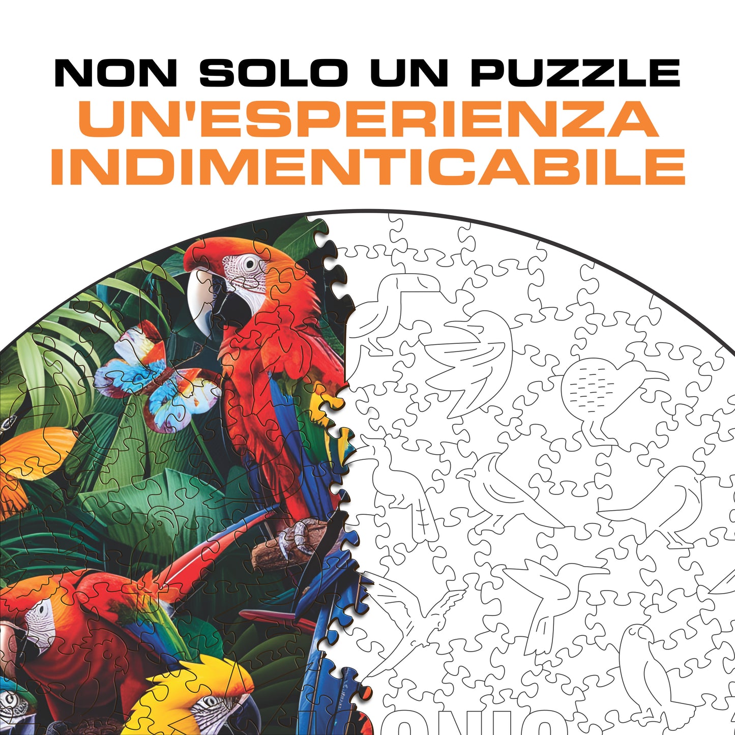 Pappagalli Colorati - Puzzle di Legno