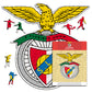 Logo Benfica® - Puzzle di Legno